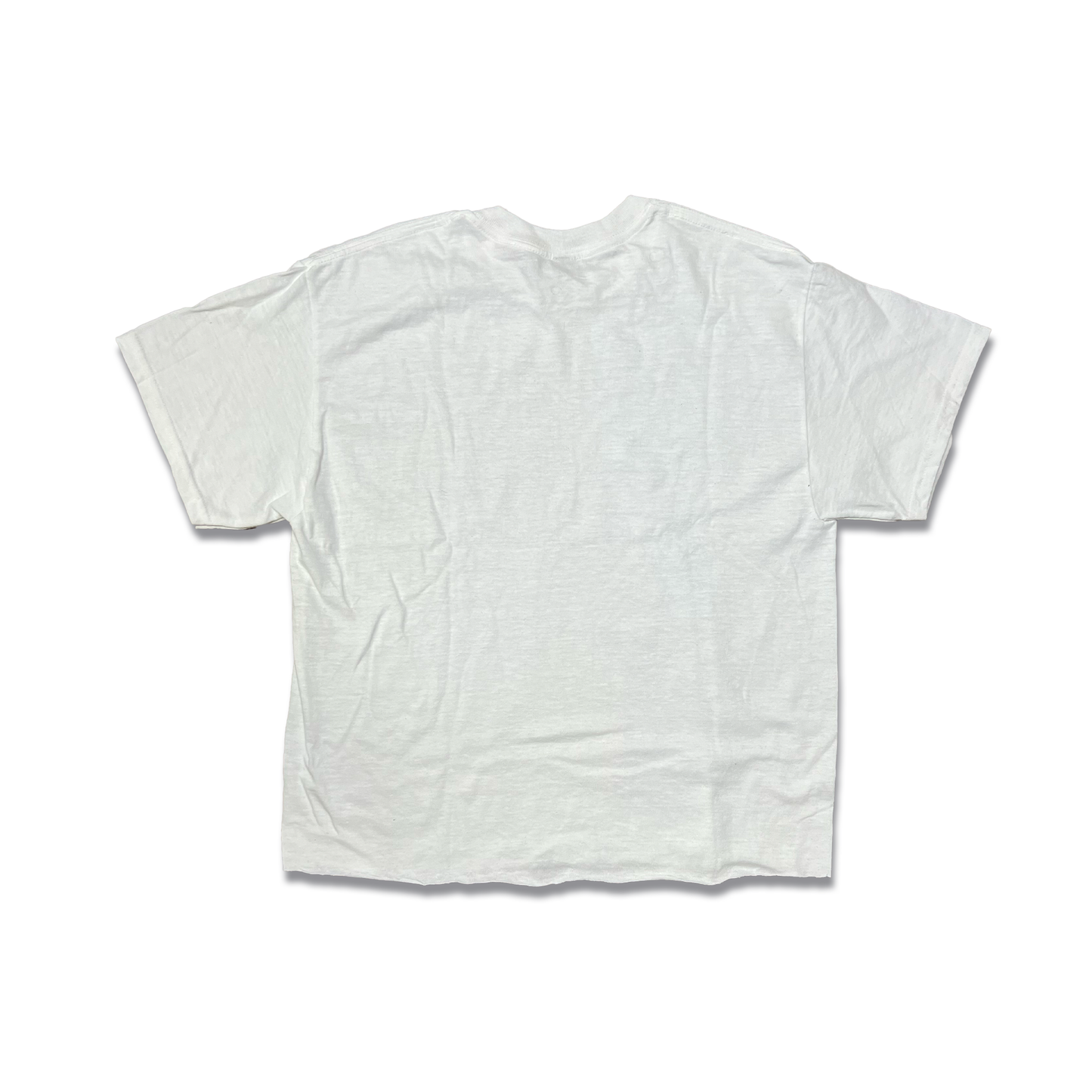R0010